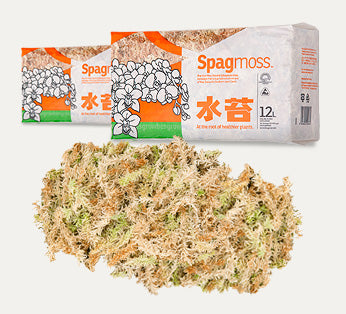 Besgrow SpagMoss Premium Sphagnum Moss – Reptilesonline